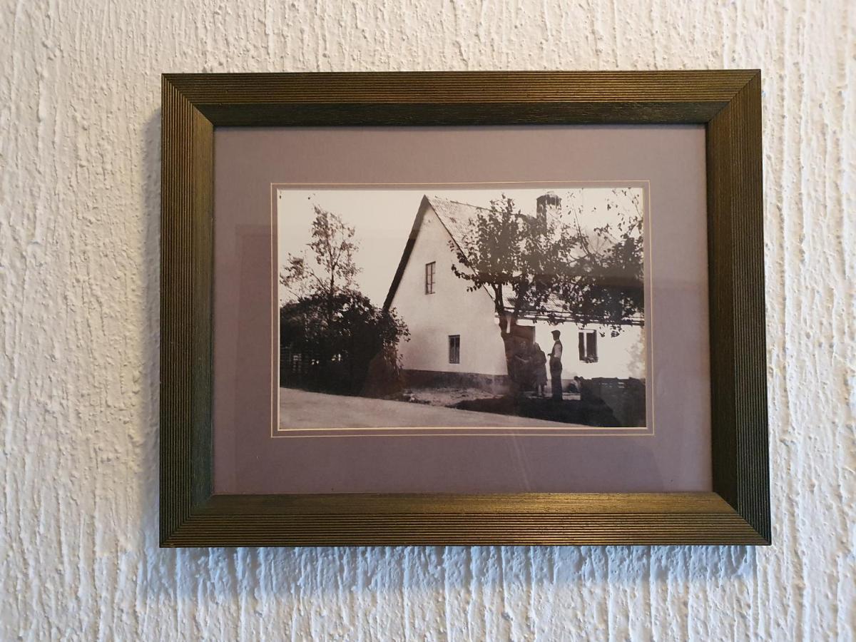 Apartma Cerknica Zewnętrze zdjęcie